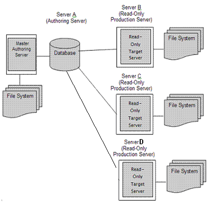Authoring and Production Servers
